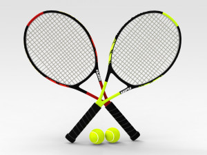 Tennis Racquet Set 3D Model