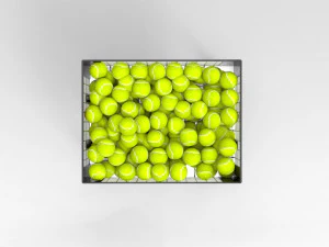 Tennisball Basket 3D Model