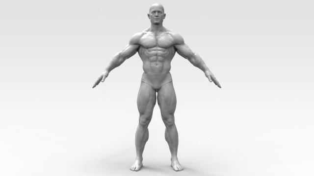 Bodybuilder 3Dプリントモデル .c4d .max .obj .3ds .fbx .stl .blend 