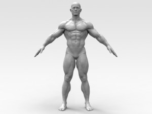 Bodybuilder 3D Принт Модель