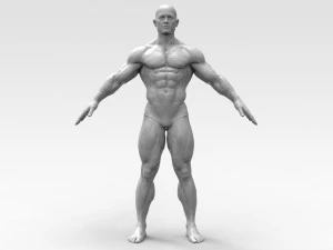 健美运动员 3D 打印模型