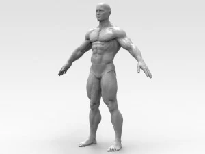 Bodybuilder 3D Print Model