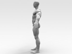 Bodybuilder 3Dプリントモデル