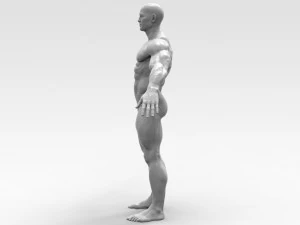 Bodybuilder 3D Print Model