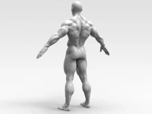 Bodybuilder 3D Print Model