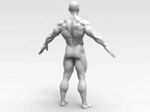 Bodybuilder 3D Print Model