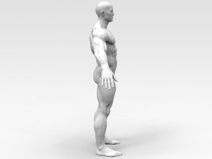 Bodybuilder 3Dプリントモデル