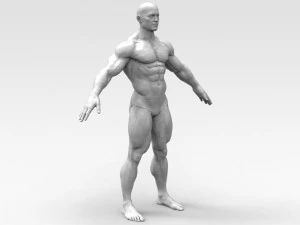 Bodybuilder 3D Print Model