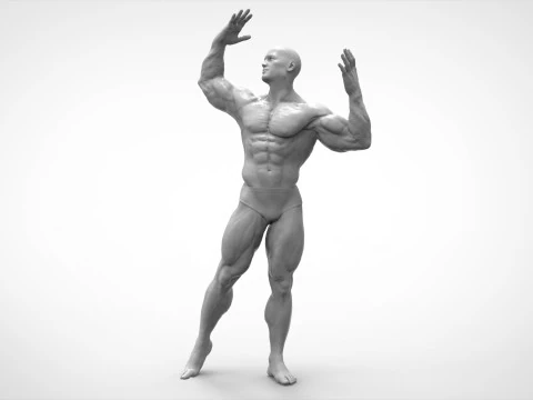 Bodybuilder Pose Anatomy 3D Print Model