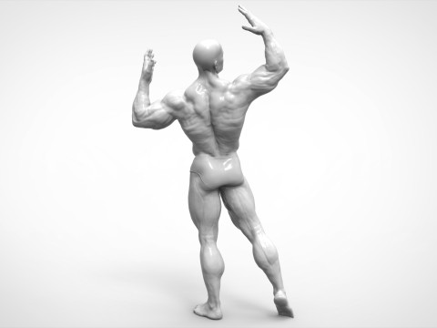 Bodybuilder Pose Anatomy 3Dプリントモデル