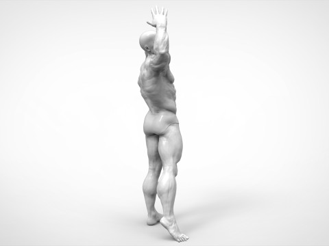 Bodybuilder Pose Anatomy 3Dプリントモデル
