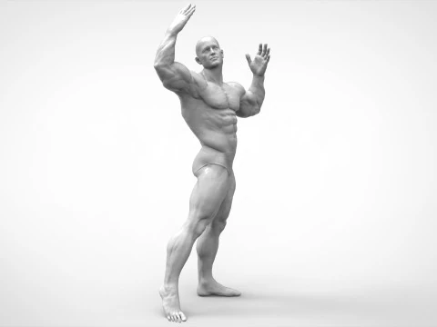 Bodybuilder Pose Anatomy 3D Print Model