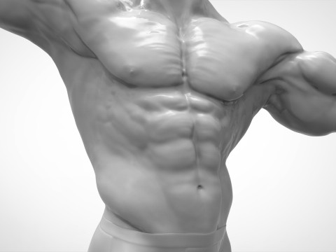 Bodybuilder Pose Anatomy 3Dプリントモデル
