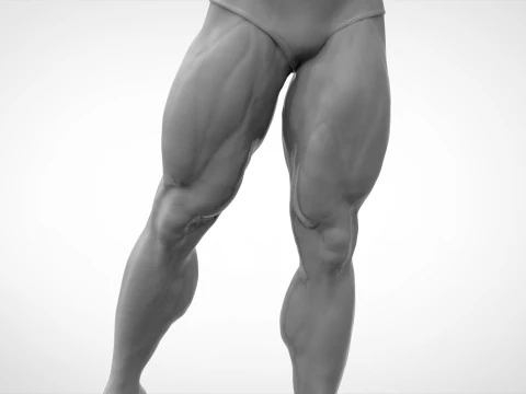 Bodybuilder Pose Anatomy 3D Print Model
