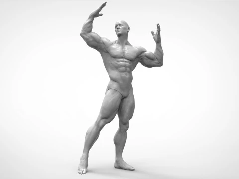 Bodybuilder Pose Anatomy 3D Print Model