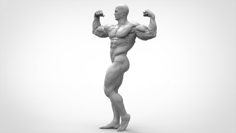 Bodybuilder Pose Anatomy 3D Print Model .c4d .max .obj .3ds .fbx .stl .blend 