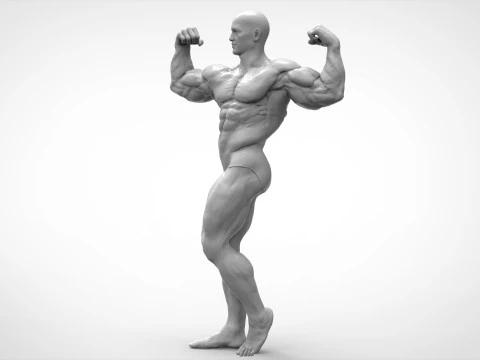 ボディービルダーのポーズの解剖学 3Dプリントモデル