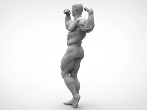 Bodybuilder Pose Anatomy 3D Print Model