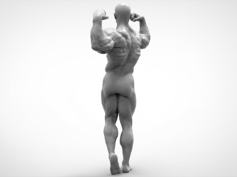Bodybuilder Pose Anatomy 3D Print Model