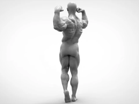 Bodybuilder Pose Anatomy 3D Print Model
