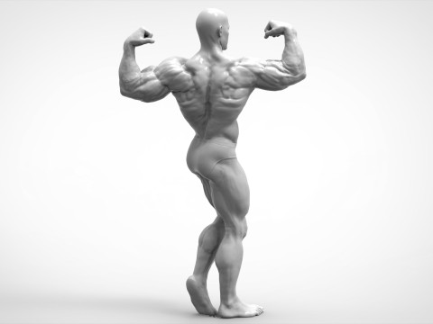 Bodybuilder Pose Anatomy 3D Print Model