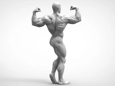Bodybuilder Pose Anatomy 3D Print Model