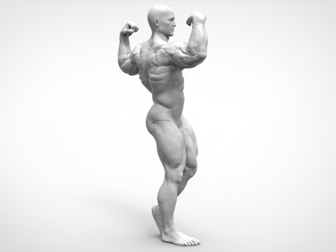 Bodybuilder Pose Anatomy 3D Print Model
