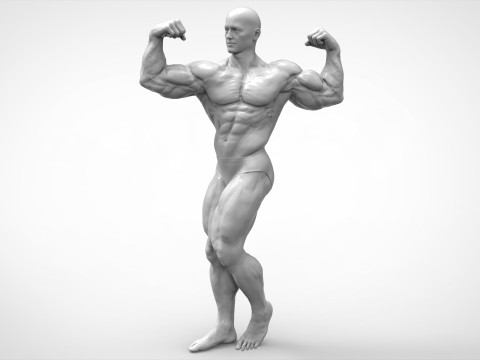 Bodybuilder Pose Anatomy 3D Print Model