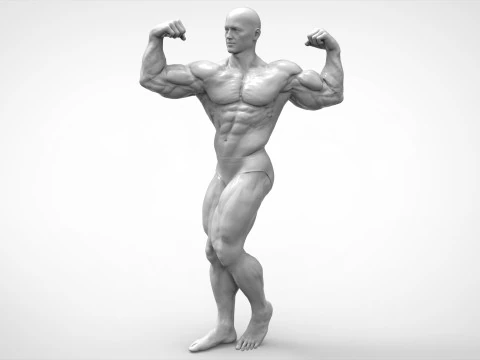 Bodybuilder Pose Anatomy 3D Print Model