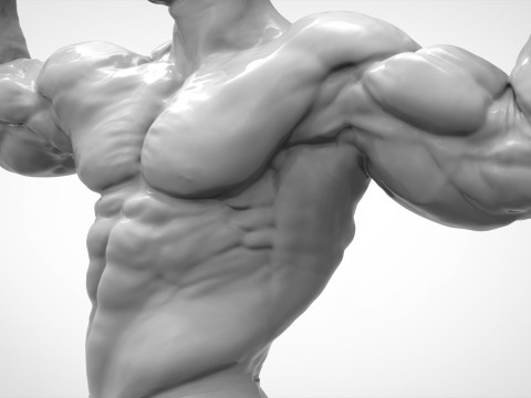 Bodybuilder Pose Anatomy 3D Print Model