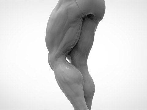 Bodybuilder Pose Anatomy 3D Print Model