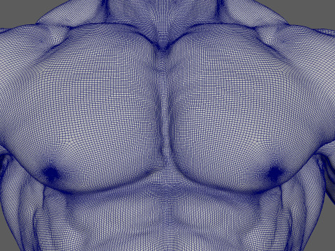 Bodybuilder Pose Anatomy 3D Print Model