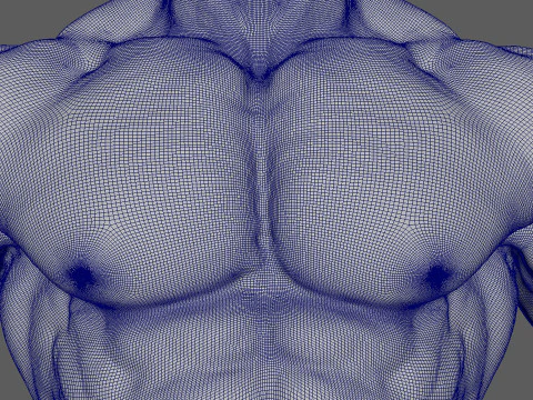 Bodybuilder Pose Anatomy 3D Print Model