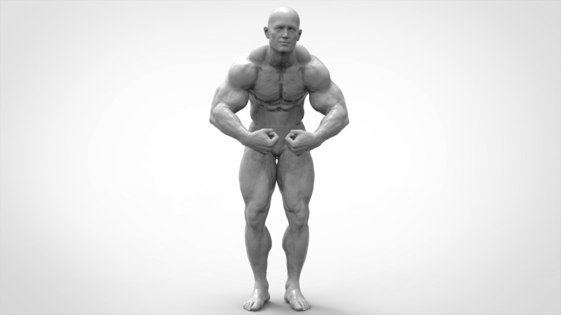 Bodybuilder Pose Anatomy 3Dプリントモデル .c4d .max .obj .3ds .fbx .stl .blend 