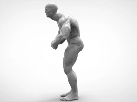 Bodybuilder Pose Anatomy 3D Print Model