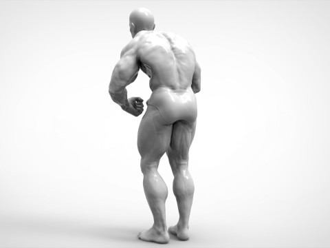 Bodybuilder Pose Anatomy 3Dプリントモデル