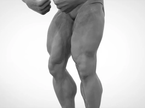 Bodybuilder Pose Anatomy 3D Print Model