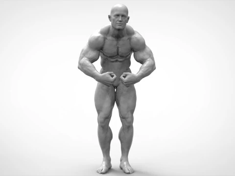 Bodybuilder Pose Anatomy 3D Print Model