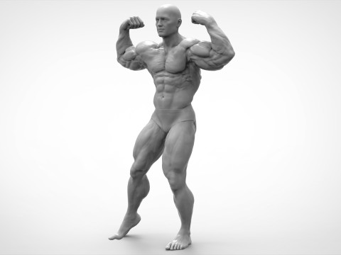 Bodybuilder Pose Anatomy 3Dプリントモデル