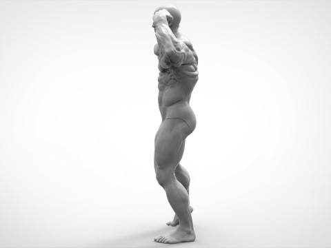 Bodybuilder Pose Anatomy 3Dプリントモデル