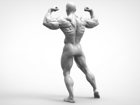Bodybuilder Pose Anatomy 3Dプリントモデル