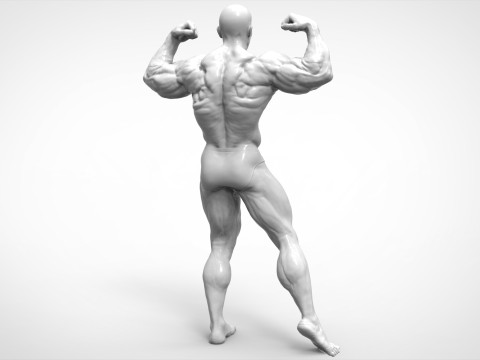 Bodybuilder Pose Anatomy 3Dプリントモデル