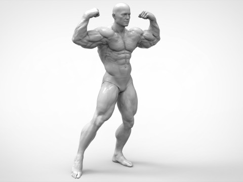 Bodybuilder Pose Anatomy 3Dプリントモデル