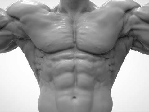 Bodybuilder Pose Anatomy 3Dプリントモデル