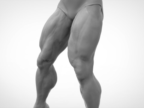 Bodybuilder Pose Anatomy 3Dプリントモデル