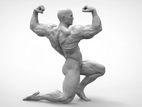 Bodybuilder pose anatomie 3D printmodel