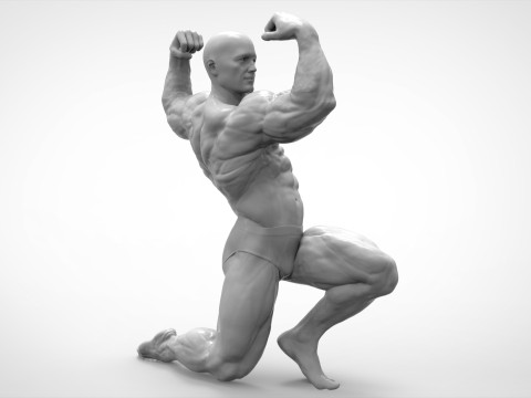 Bodybuilder Pose Anatomy 3Dプリントモデル