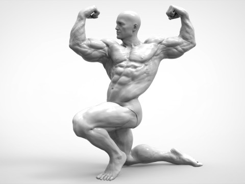 Bodybuilder Pose Anatomy 3Dプリントモデル