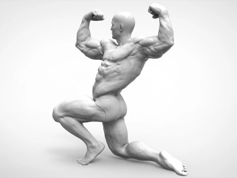 Bodybuilder Pose Anatomy 3D Print Model