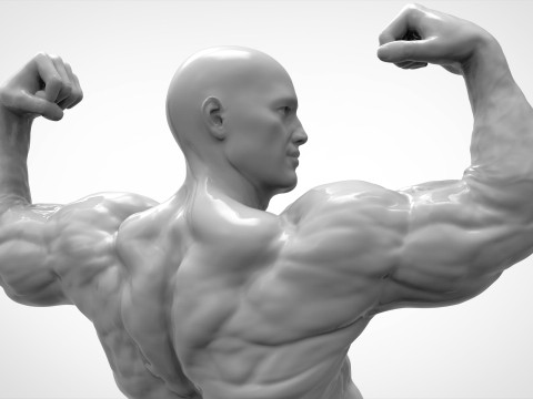 Bodybuilder Pose Anatomy 3Dプリントモデル